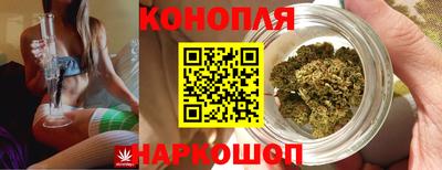 гидропоника Гагарин
